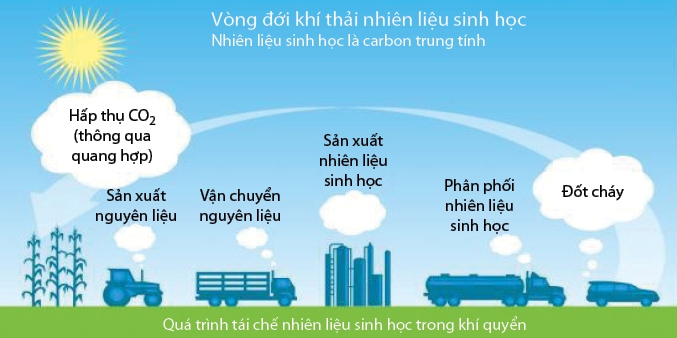 Phát triển năng lượng sinh học tại Việt Nam: Từ E5 đến E10 (13/9/2018)